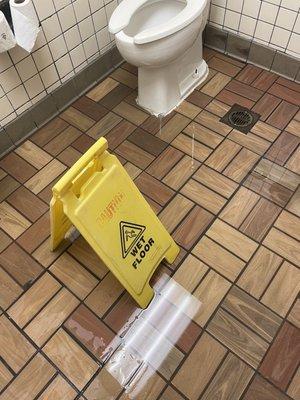 Flooded women's bathroom during rainstorm