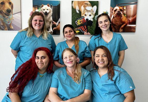 Shaggy Dog Markets Full-Service Grooming salon team.