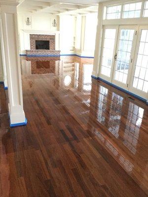 This is the after photo of the floor in Avalon, NJ 08202 that we did a screen & Coat on. The floor is very shiny because it is wet.