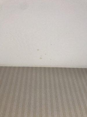 Ceiling stains