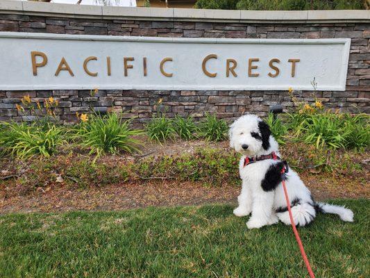 Skye sells Pacific Crest