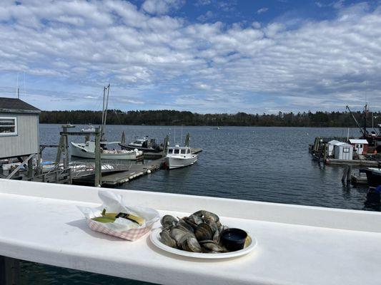 Steamer clams