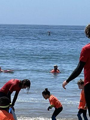 California Bodyboarders