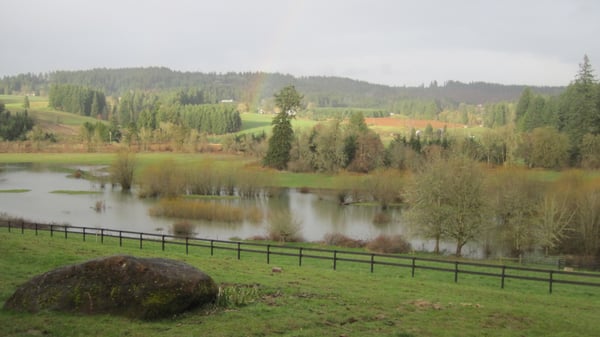 Lower pasture and hay field.