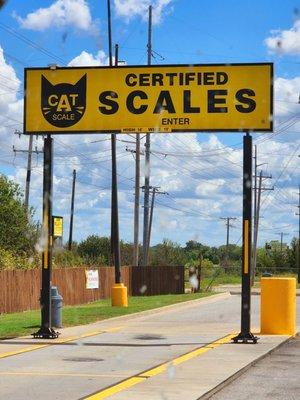 Cat Scales