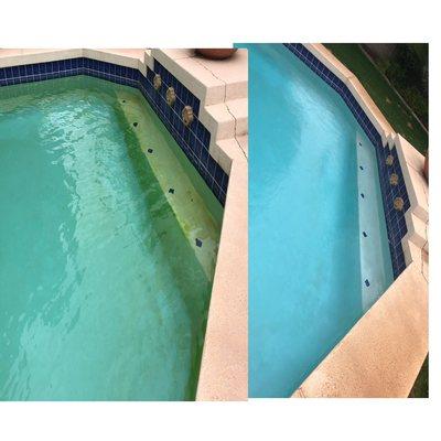 A new customer we picked up on Friday had yellow algae. We came back on Monday to check on pool. No more yellow algae.