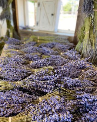 Organic lavender bundles