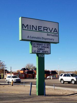 Minerva canna group