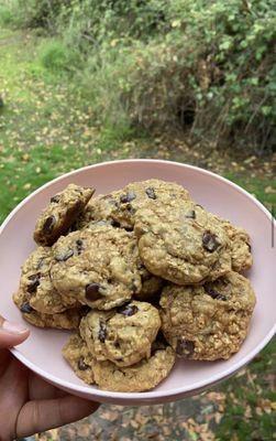 Lactation Cookies