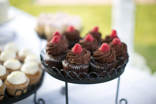 Chocolate cupcakes