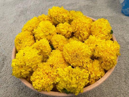 Yellow Marigold Flowers