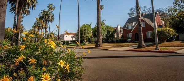 Santa Monica slide show