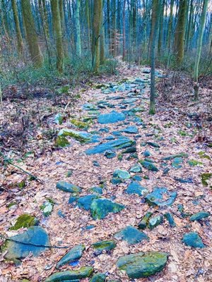 Sadsbury Woods Preserve