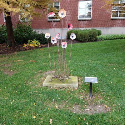 Stand of Poppies by Jennifer Meyer