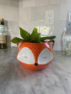 Cute little fox planter!