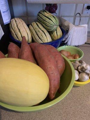 This weeks Farm Share looks like Fall is here (greens not shown).