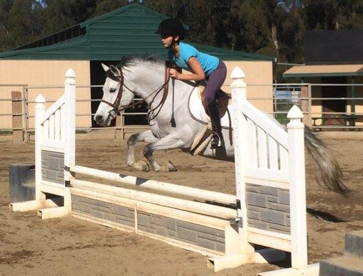 Oliver- one of our amazing camp ponies!