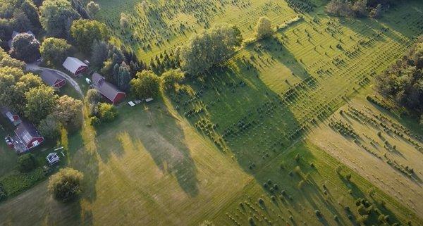 Drone image of the farm buildings and the beginning of some of tree fields.