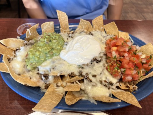 Carne asada nachos