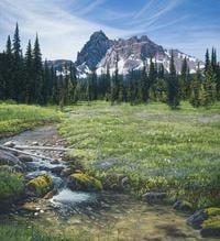 Canyon Creek Meadow