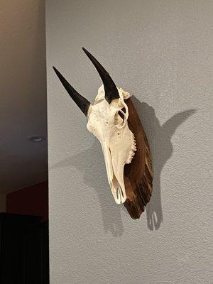 Double Nickle Taxidermy