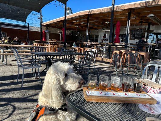 Outdoor patio with Ernie