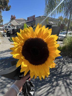 I bought some sunflowers next door - support local.