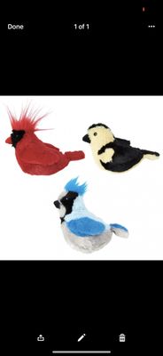 https://gottacee.com/products/ethical-pet-songbird-with-catnip