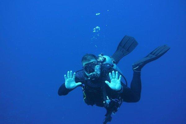 Enjoining the clear water of Bonaire.