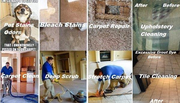 All Colors Carpet Cleaning Services in Indianapolis