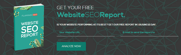 Free Website Audit - Flamingo SEO Los Angeles Team