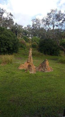 Termite mounds