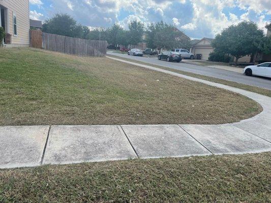 Side yard cut, and trim.