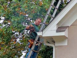 New Jersey Gutter Cleaning