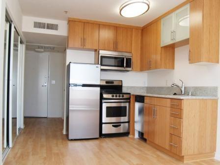 Santa Monica Apt Gourmet Kitchen