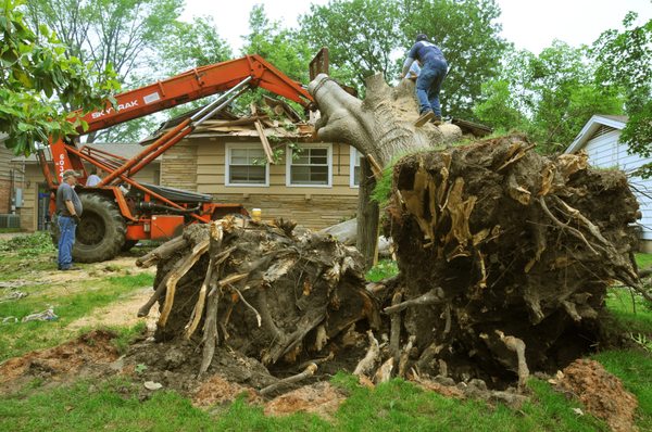 Coweta Tree Services