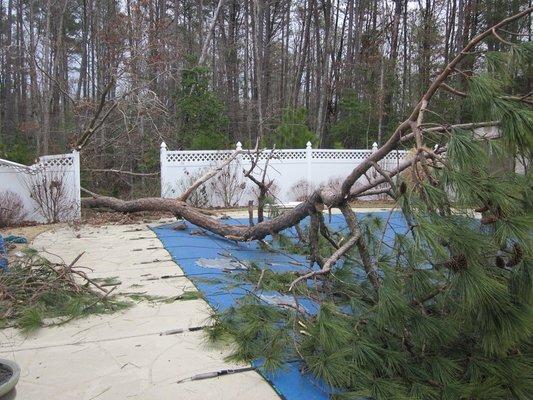 Hurricane Storm Cleanup