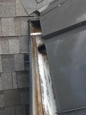 Gutters Clean