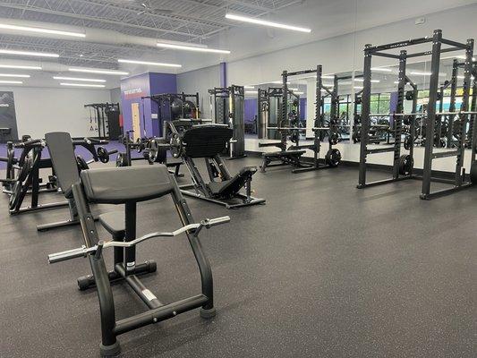 General gym layout and equipment