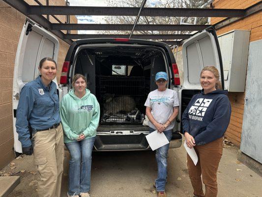 Team wolf rescuing a wolf dog