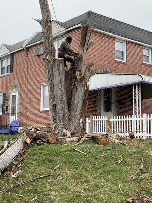 New Heights Tree Service