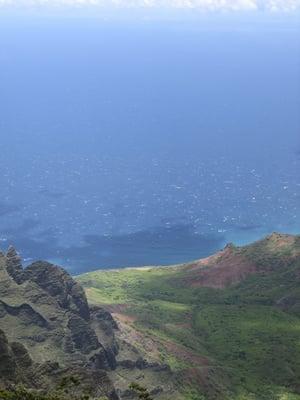 Kauai Yoga Shala