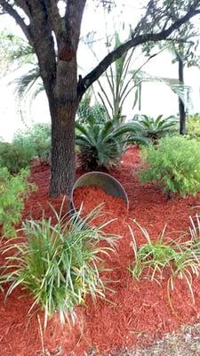 The Bed was cleaned up and re Mulched