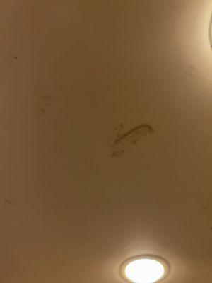 Mold on ceiling