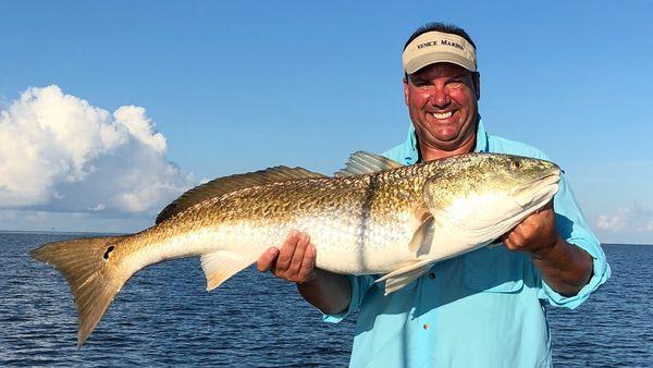 Bull Reds in Venice, Louisiana