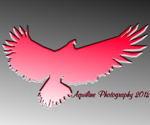 Aquiline Photography