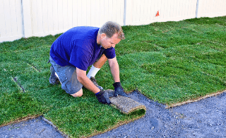 Ground Works Lawn & Landscaping