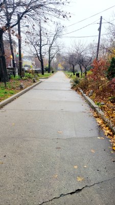 Pathways (12/07/22). #PershingFieldPark #JerseyCity #NewJersey #Park