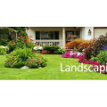 Curb Appeal Lawn Care & Landscaping