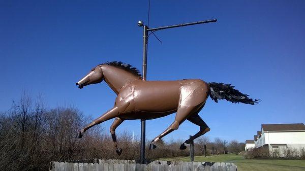 Shinn Horse by Robert Shinn 1999